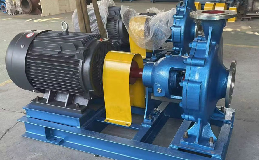 SS Lobe Pump