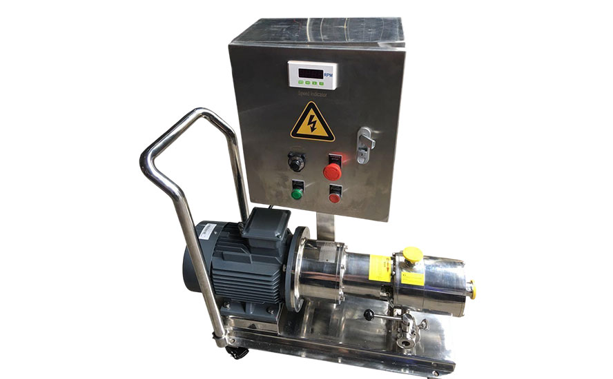 SS Lobe Pump