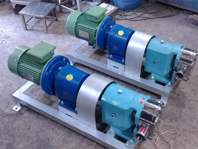 SS Lobe Pump